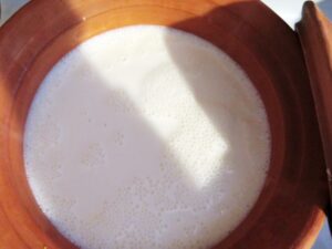 Yogurt