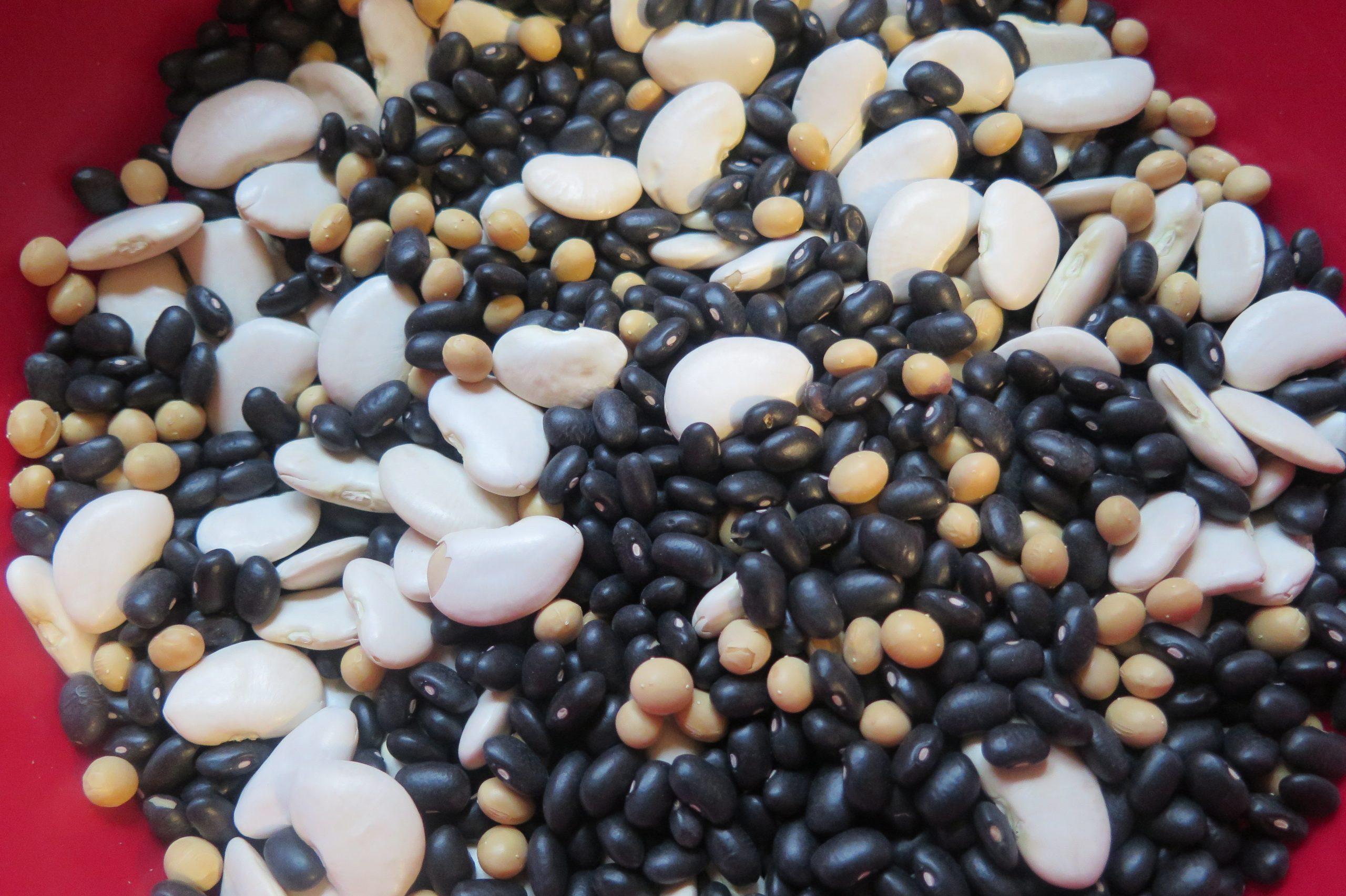Dried Beans