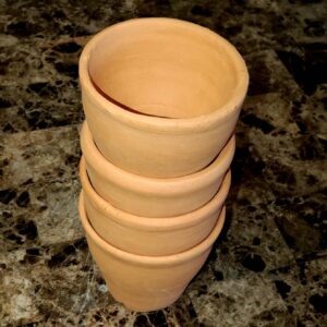 Miriam’s Set of 4 Cups (Save $10) - 10 oz/e - Image 4