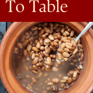 Pure Earth To Table Ebook